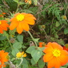 DSC00911
