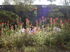 DSC00896
