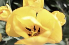 IMG_0623