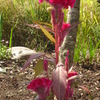 DSC00882