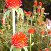 DSC00901
