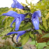 DSC00874
