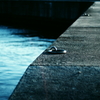 On The Breakwater