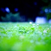 rainy day