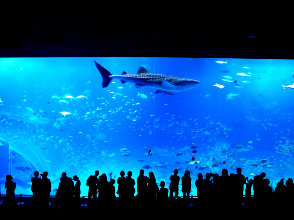 blue cinema