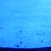 Heavy Rain