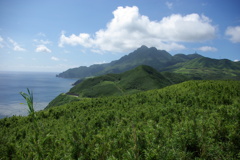 口之島　緑のチクの島