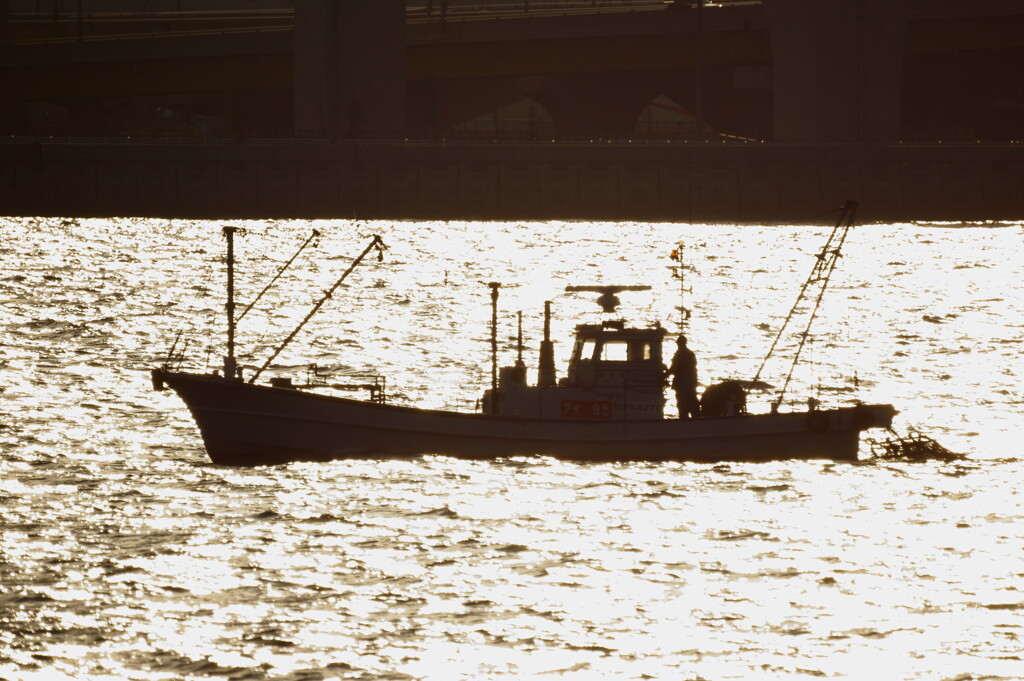 ボーっトさせる乱反射