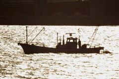 ボーっトさせる乱反射