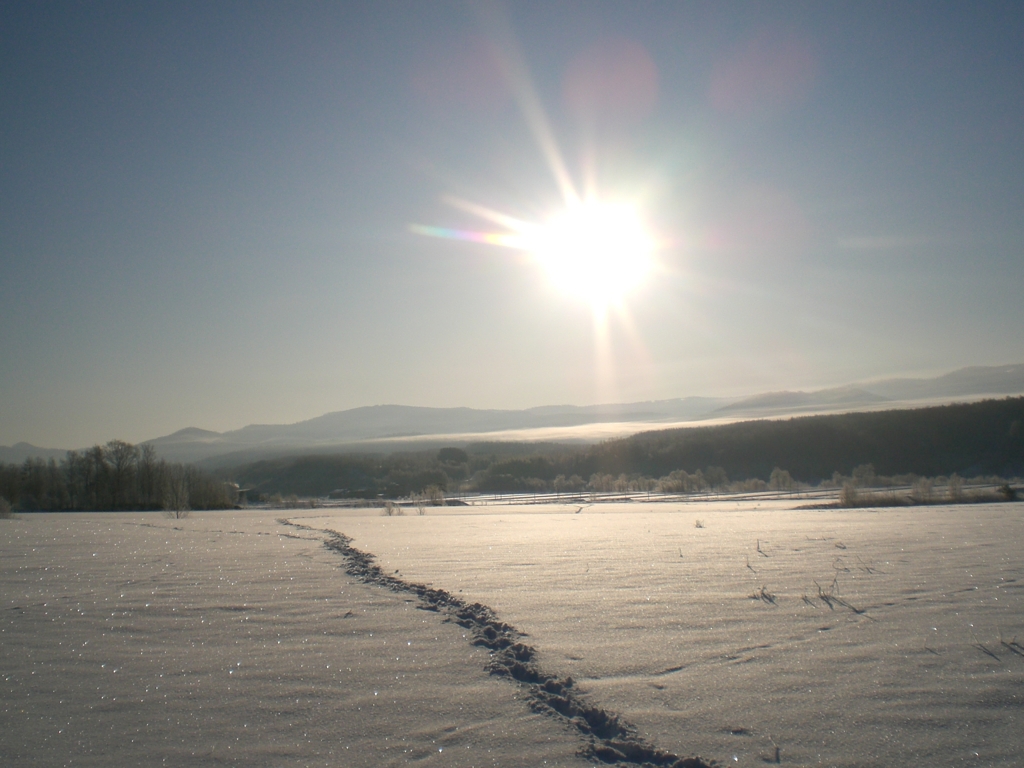 -20℃の朝