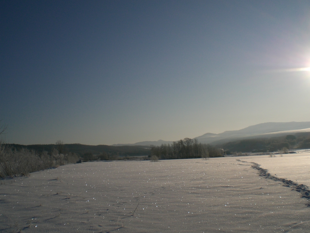 -20℃の朝