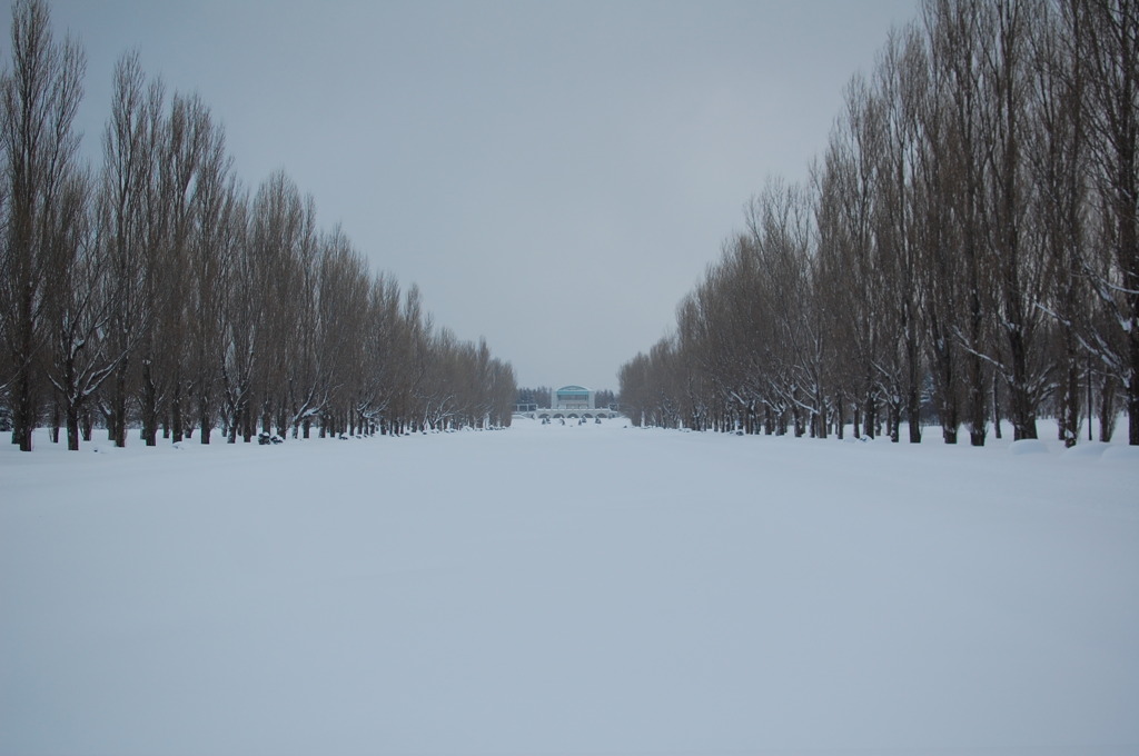 前田森林公園