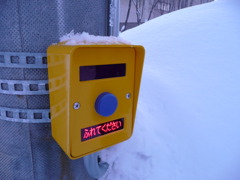 ふれてください