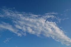 空