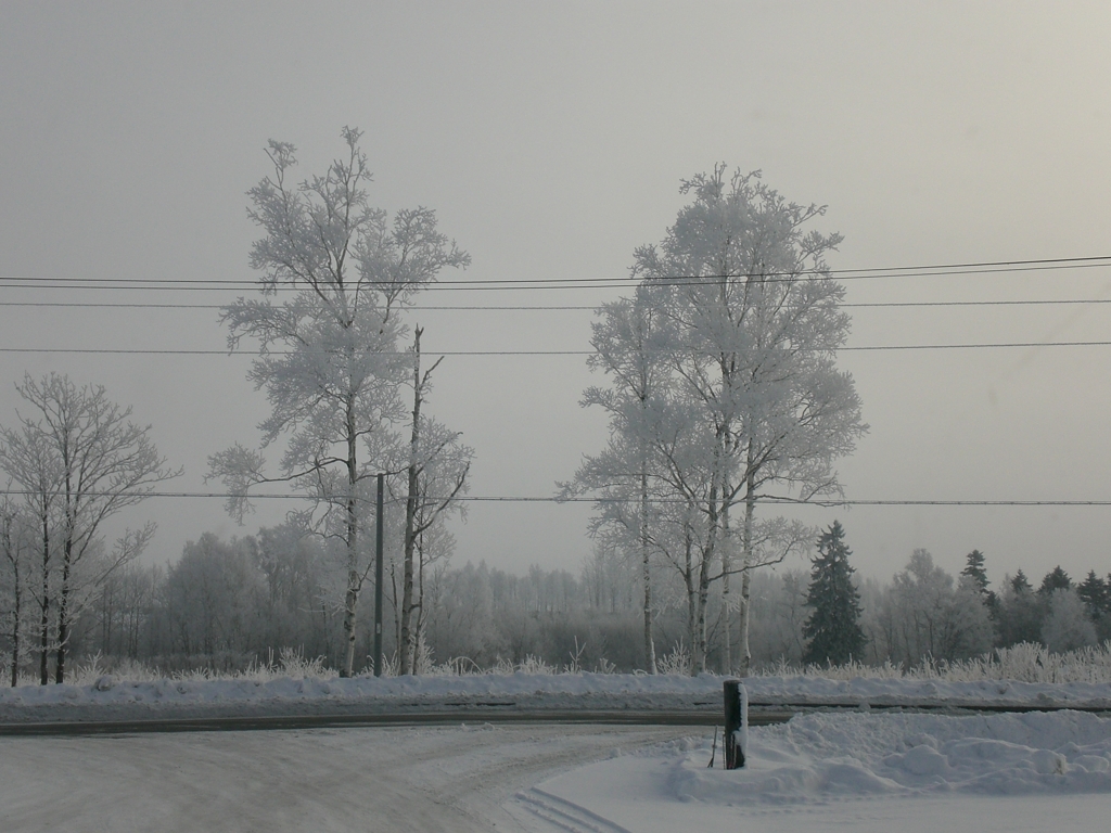 -20℃の朝