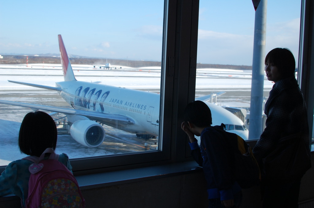 嵐の飛行機