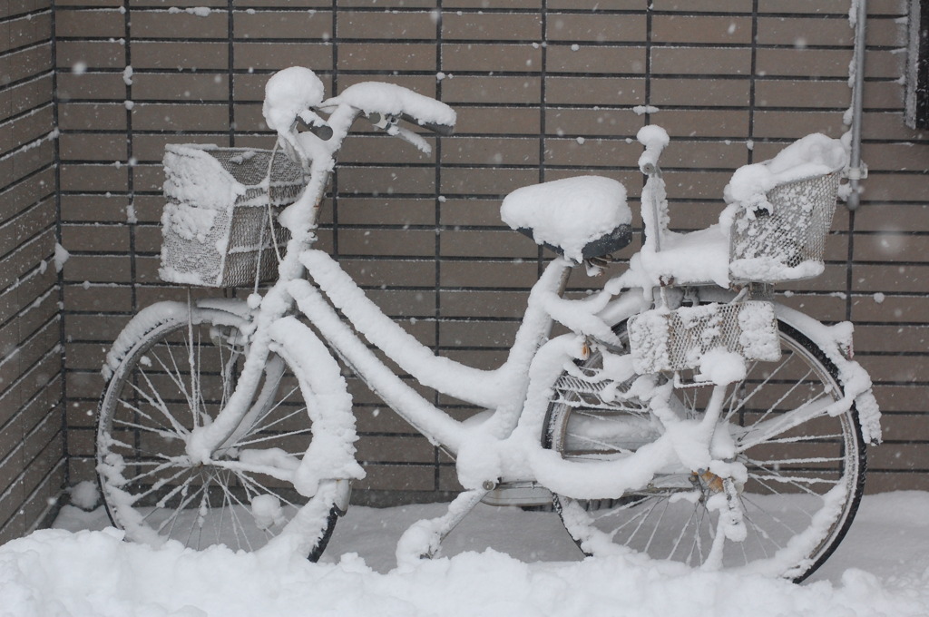 自転車の役目も終わる