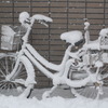 自転車の役目も終わる