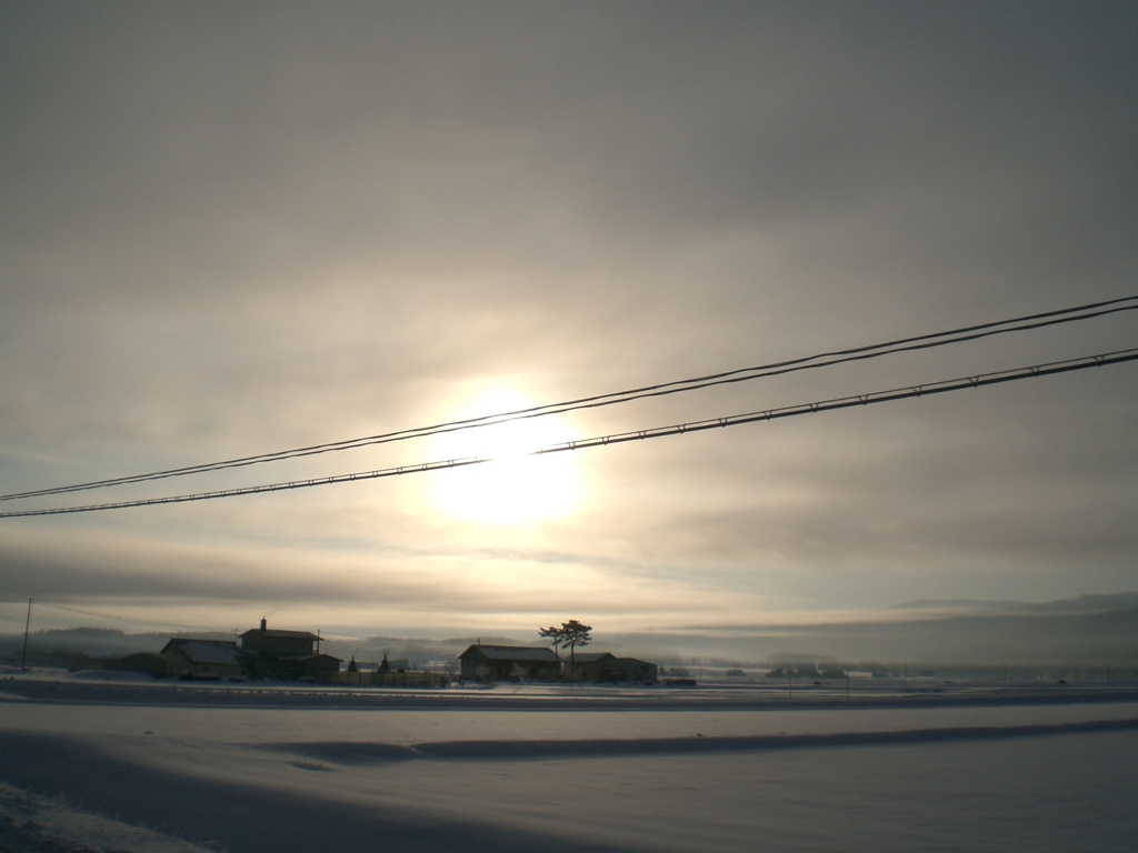 -20℃の朝