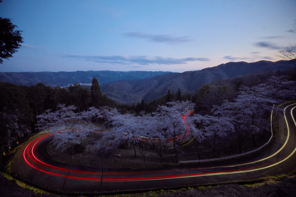 桜峠