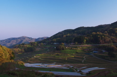 Rice terrace