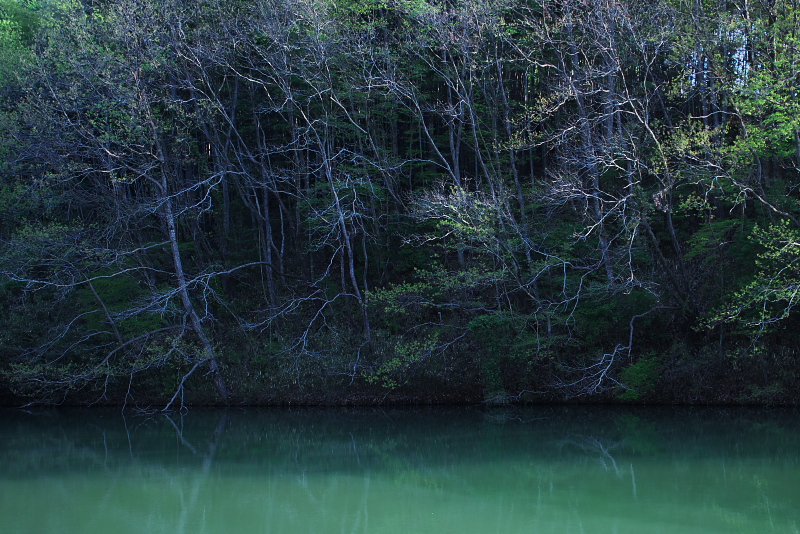 Green lake