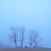 Foggy morning