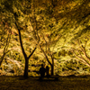 Autumn theater