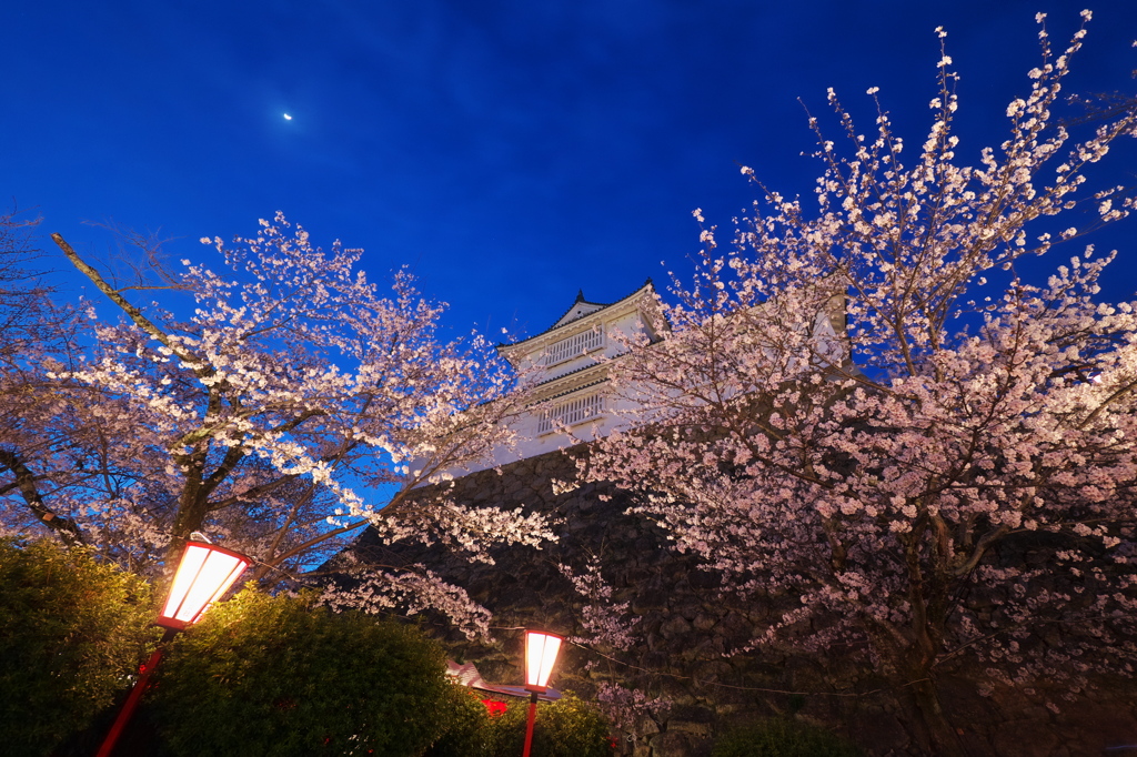 備中櫓と桜と月