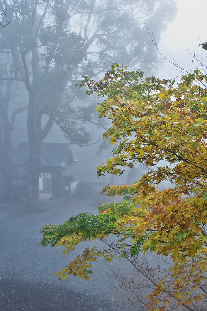 山寺の秋