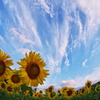 吹き抜ける夏の風