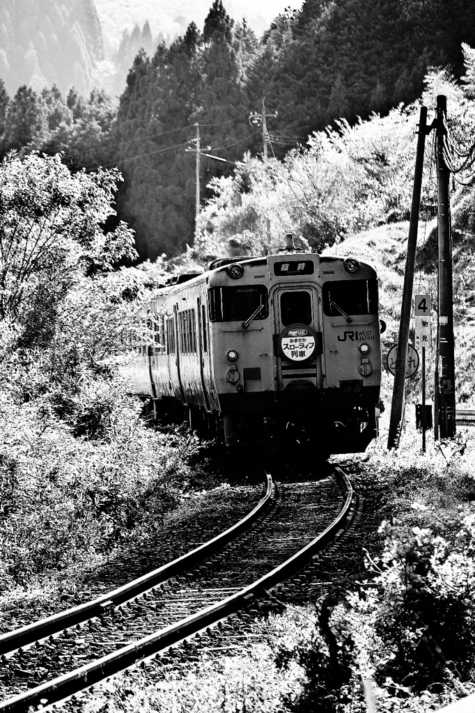 Slow Life Train