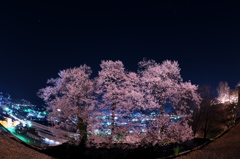 Sakura city