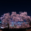 Sakura city