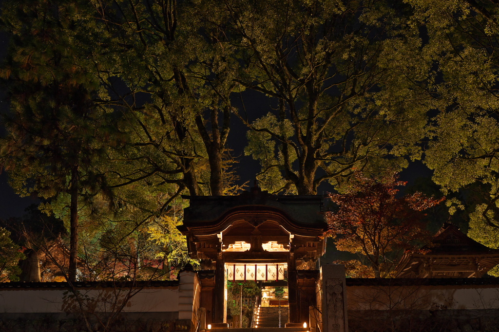 神秘の門