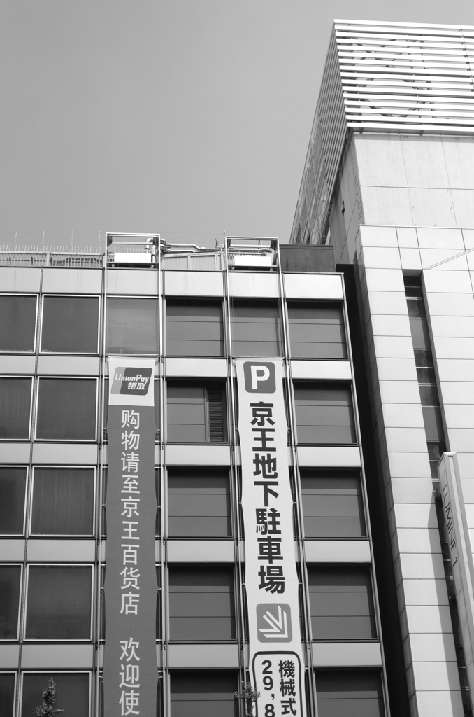 SNJ-WG