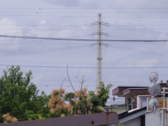 IMGP9397