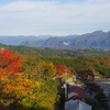 autumn foliage #2
