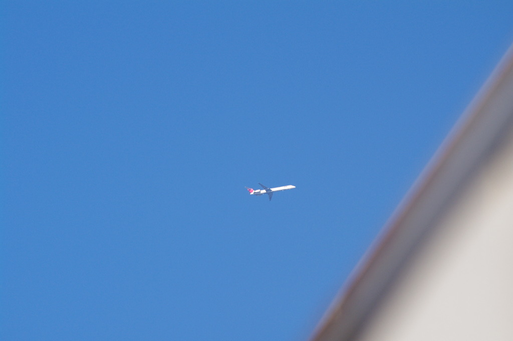 望遠レンズ試し撮り