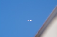 望遠レンズ試し撮り