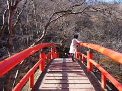 12月の河鹿橋