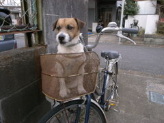 タンデムライダー