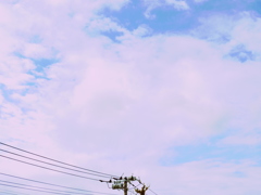 the pink clouds