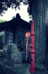 雷 #5