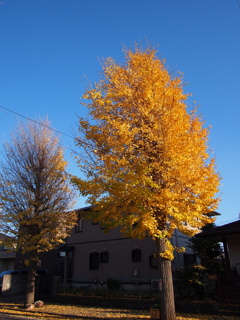 JMK②