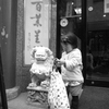 chinese guardian lion
