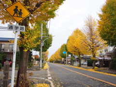 OCB④