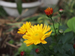 KSBN②