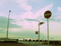 the green sky