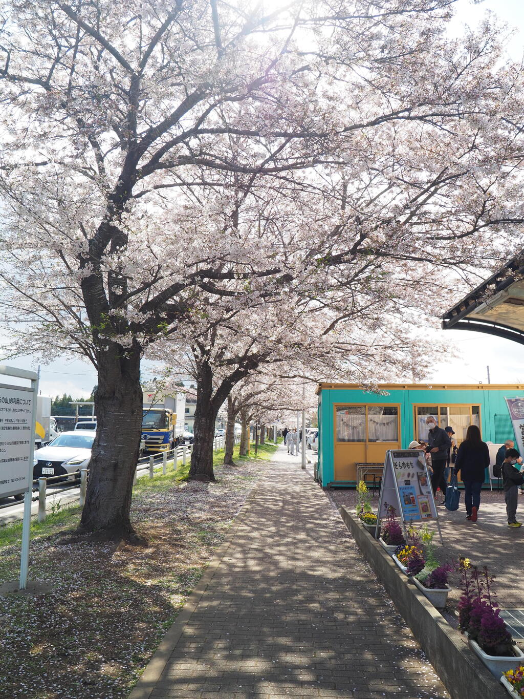 SKR⑦